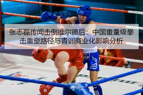 张志磊传闻击倒维尔德后：中国重量级拳击重塑路径与青训商业化影响分析